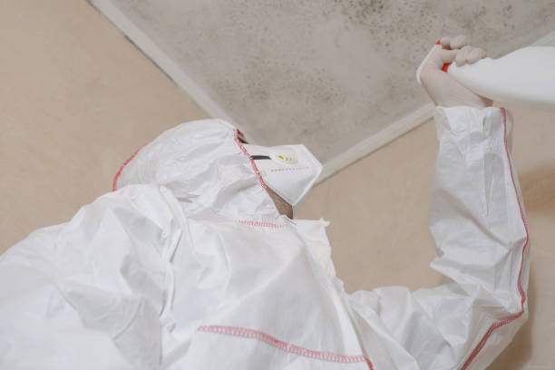 Best Emergency Mold Removal  in Sublimity, OR